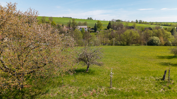 Prodej pozemku 10364 m², Horní Kalná