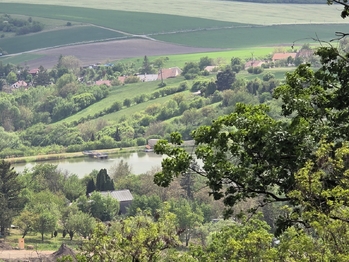 Prodej chaty / chalupy 120 m², Viničné Šumice