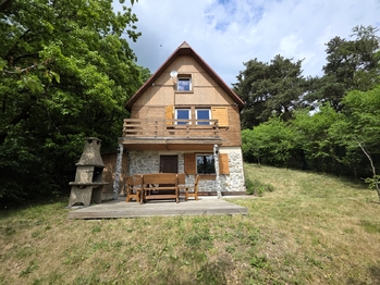 Prodej chaty / chalupy 120 m², Viničné Šumice