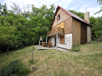Prodej chaty / chalupy 120 m², Viničné Šumice
