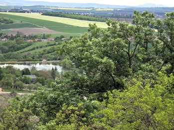 Prodej chaty / chalupy 120 m², Viničné Šumice
