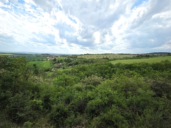 Prodej chaty / chalupy 120 m², Viničné Šumice