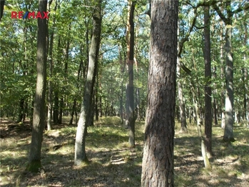Prodej pozemku 15368 m², Vážany