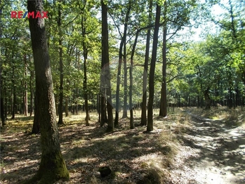 Prodej pozemku 15368 m², Vážany