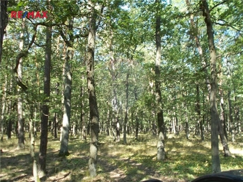 Prodej pozemku 15368 m², Vážany