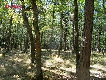 Prodej pozemku 15368 m², Vážany