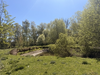 Prodej domu 725 m², Bor