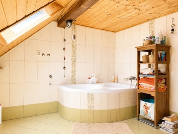 Prodej zemědělského objektu 725 m², Bor