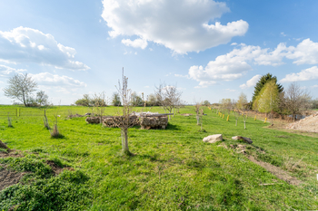 Velký pozemek za domem - Prodej zemědělského objektu 236 m², Vilémov
