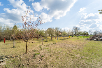 Část pozemku se zasázenými ovocnými stromy - Prodej zemědělského objektu 236 m², Vilémov