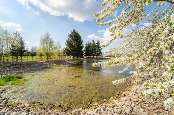 Vodní plocha - Prodej zemědělského objektu 236 m², Vilémov