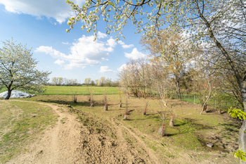 Pohled na pozemek - Prodej zemědělského objektu 236 m², Vilémov