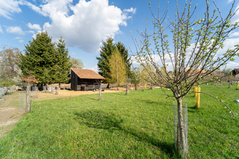 Sad a v pozadí vodní plocha - Prodej zemědělského objektu 236 m², Vilémov
