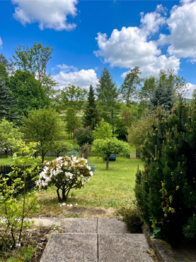 Prodej chaty / chalupy 40 m², Habrovany