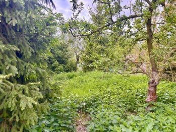 Zahrada před stodolou - Prodej domu 150 m², Čelčice