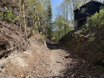 Prodej chaty / chalupy 36 m², Týniště nad Orlicí