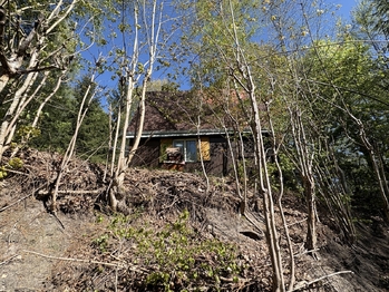 Prodej chaty / chalupy 36 m², Týniště nad Orlicí