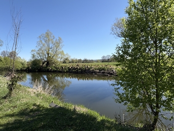 Prodej chaty / chalupy 36 m², Týniště nad Orlicí