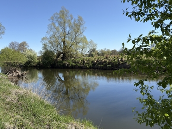 Prodej chaty / chalupy 36 m², Týniště nad Orlicí