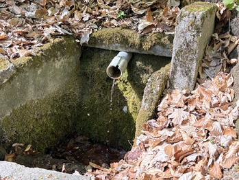 Prodej chaty / chalupy 36 m², Týniště nad Orlicí