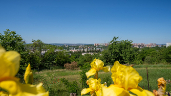 Prodej pozemku 2446 m², Brno