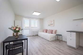 Pronájem bytu 1+kk v osobním vlastnictví 24 m², Brno