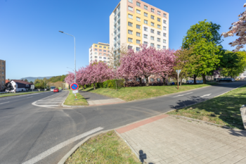 Pronájem bytu 2+1 v družstevním vlastnictví 55 m², Litvínov