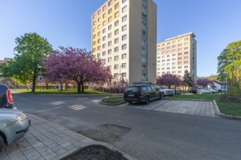 Pronájem bytu 2+1 v družstevním vlastnictví 55 m², Litvínov