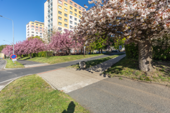 Pronájem bytu 2+1 v družstevním vlastnictví 55 m², Litvínov