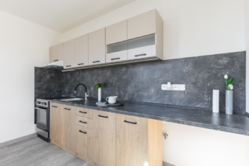 Pronájem bytu 2+1 v družstevním vlastnictví 55 m², Litvínov