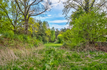 Prodej pozemku 1310 m², Veselí nad Lužnicí