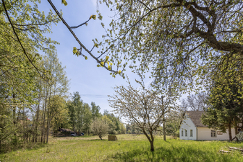Prodej pozemku 8139 m², Rapšach
