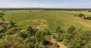 Prodej pozemku 8139 m², Rapšach