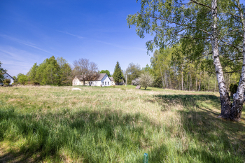 Prodej pozemku 8139 m², Rapšach