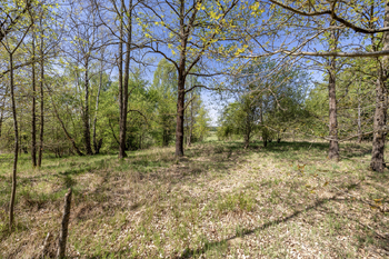 Prodej pozemku 8139 m², Rapšach