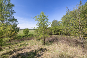 Prodej pozemku 8139 m², Rapšach