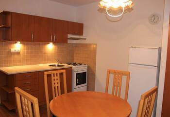 Kuchyně - Pronájem bytu 1+1 v osobním vlastnictví 34 m², Brno 