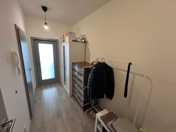 Pronájem bytu 1+kk v osobním vlastnictví 36 m², Chýně
