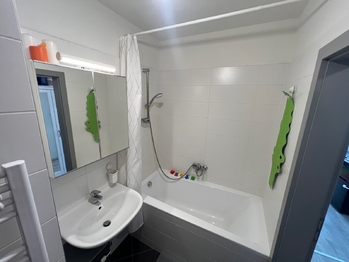 Pronájem bytu 1+kk v osobním vlastnictví 36 m², Chýně
