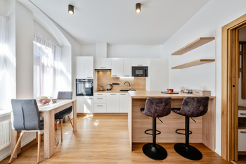 Pronájem bytu 1+1 v osobním vlastnictví 45 m², Tábor