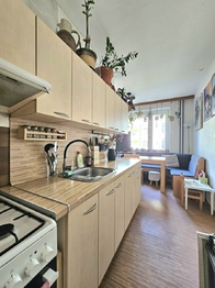 Pronájem bytu 2+1 v osobním vlastnictví 52 m², Blansko