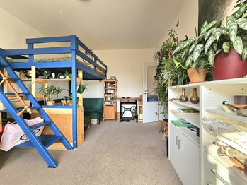 Pronájem bytu 2+1 v osobním vlastnictví 52 m², Blansko