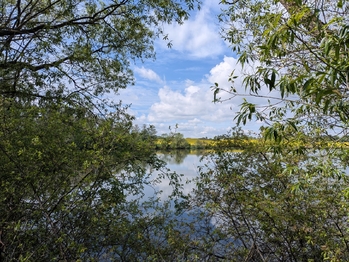 Prodej chaty / chalupy 70 m², Vladislav