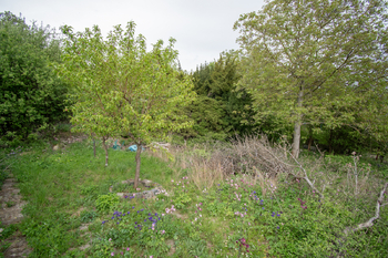 Prodej chaty / chalupy 15 m², Litoměřice
