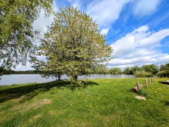 na pláži pro světloplaché ... - Prodej pozemku 314 m², Chotěboř