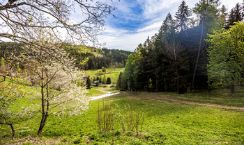 Prodej ubytovacího zařízení 281 m², Strážné