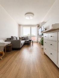 Pronájem bytu 2+1 v osobním vlastnictví 44 m², Krupka