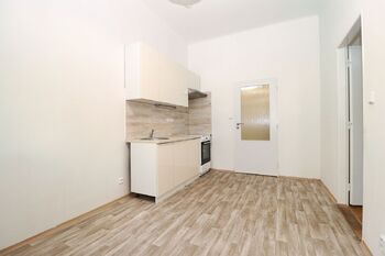 Pronájem bytu 1+1 v osobním vlastnictví 39 m², Praha 2 - Nusle