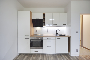 Pronájem bytu 1+kk v osobním vlastnictví 30 m², Roudnice nad Labem