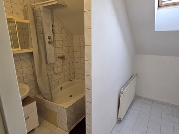 Pronájem bytu 3+kk v osobním vlastnictví 110 m², Sezemice